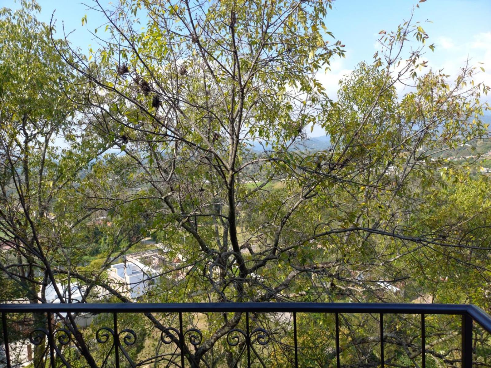 Solache Inn Zitácuaro Εξωτερικό φωτογραφία