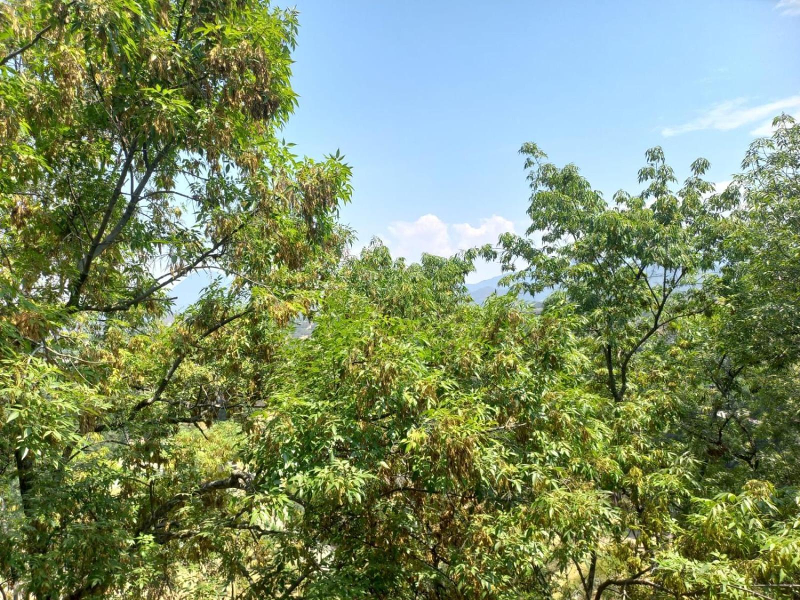 Solache Inn Zitácuaro Δωμάτιο φωτογραφία
