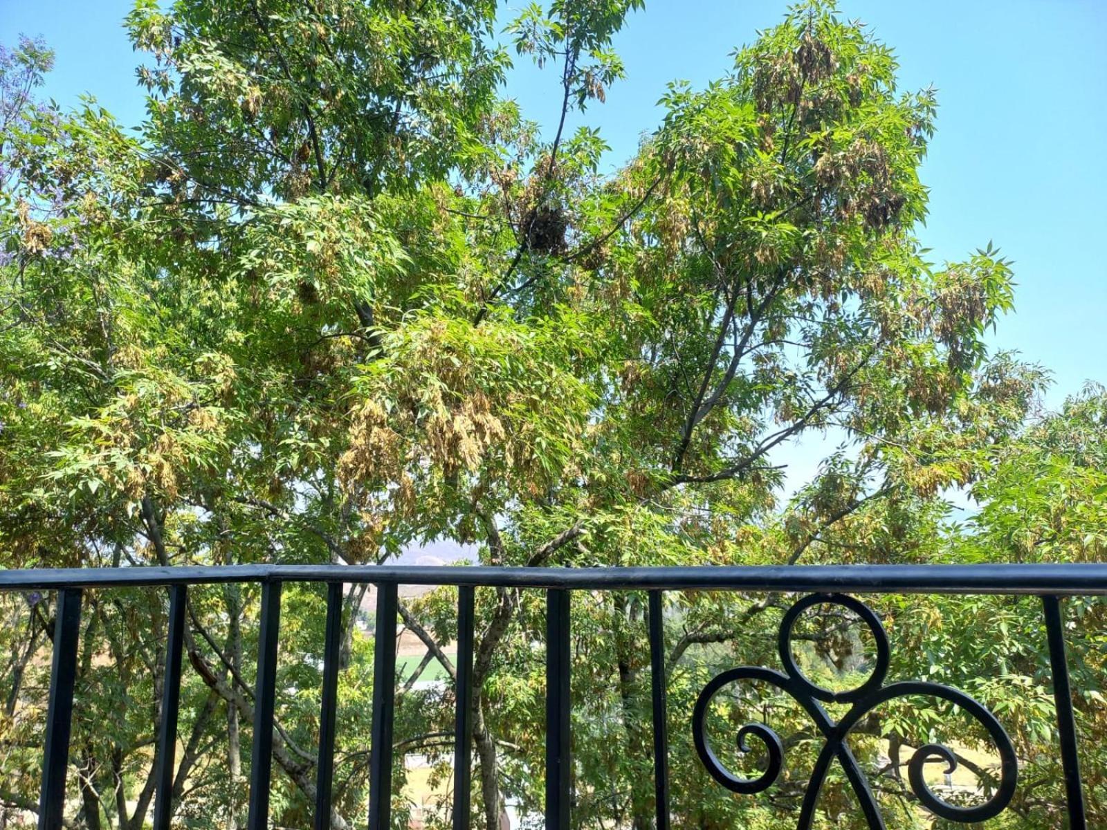 Solache Inn Zitácuaro Δωμάτιο φωτογραφία