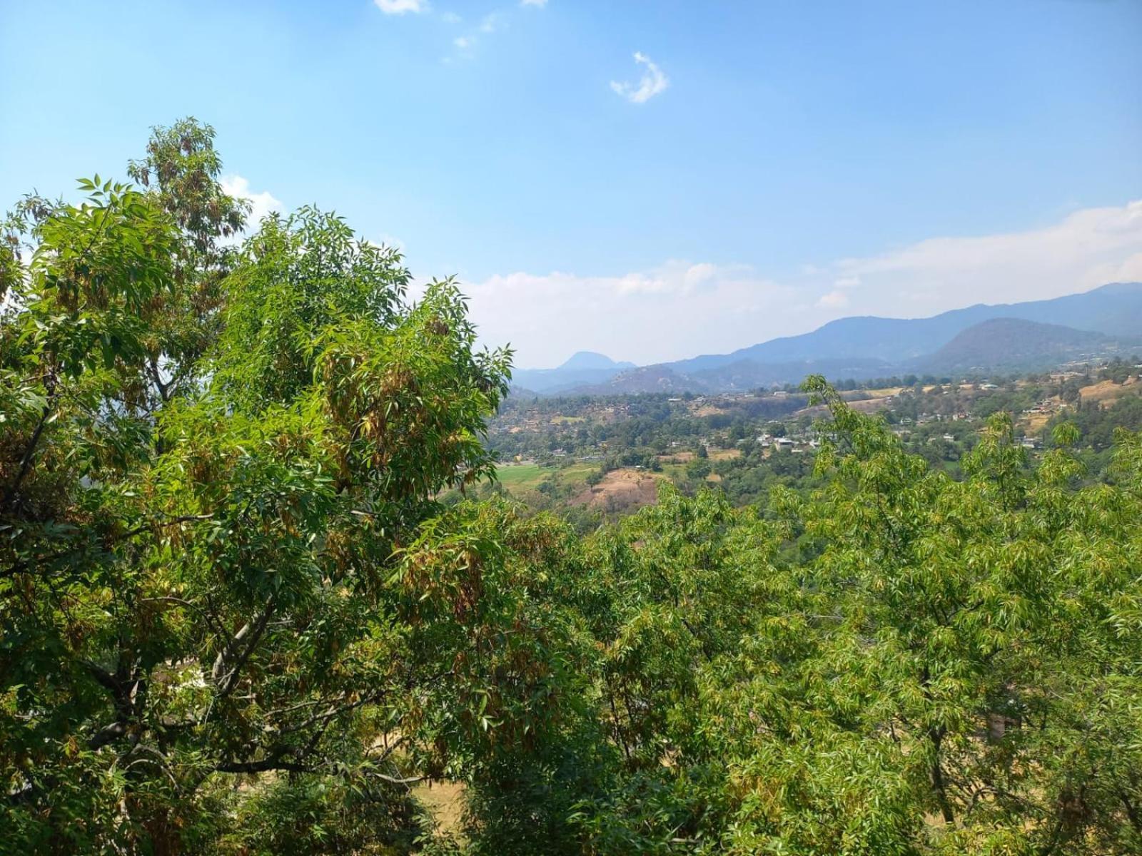 Solache Inn Zitácuaro Δωμάτιο φωτογραφία